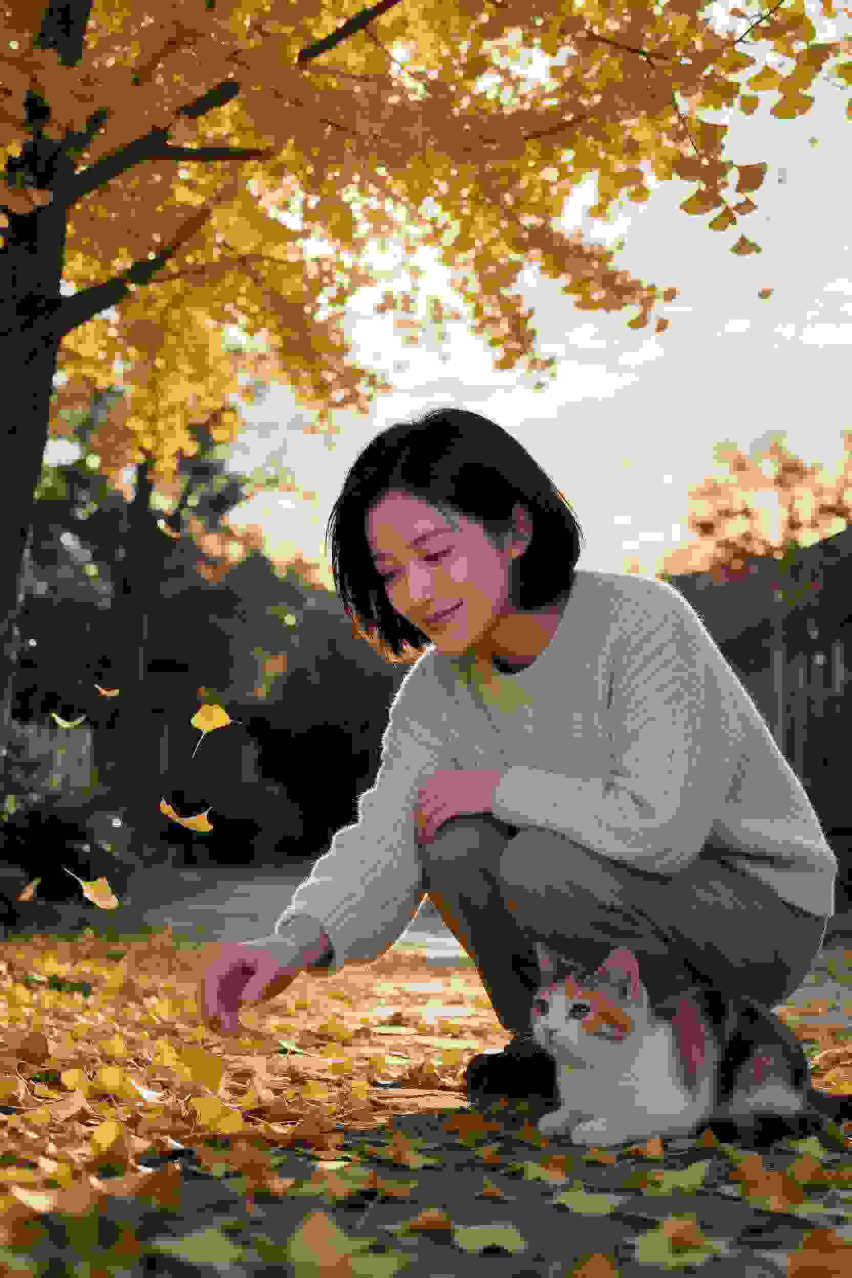 琴音悠悠